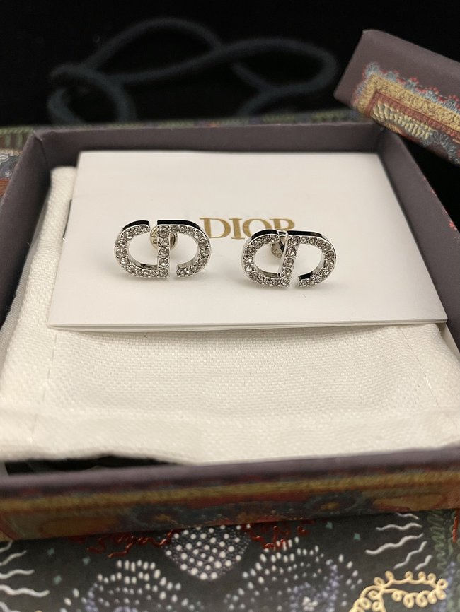 Dior Earring CSJ54141513
