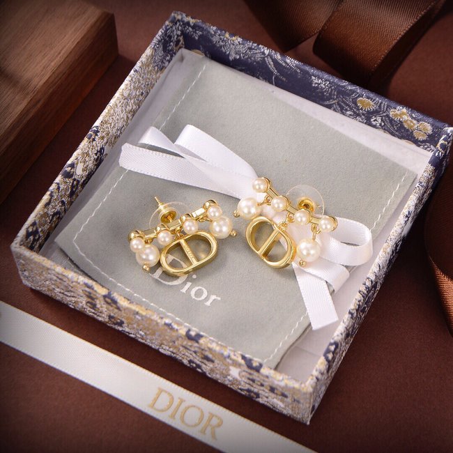 Dior Earring CSJ23435254