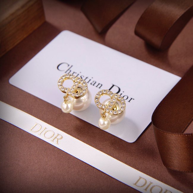 Dior Earring CSJ53443333