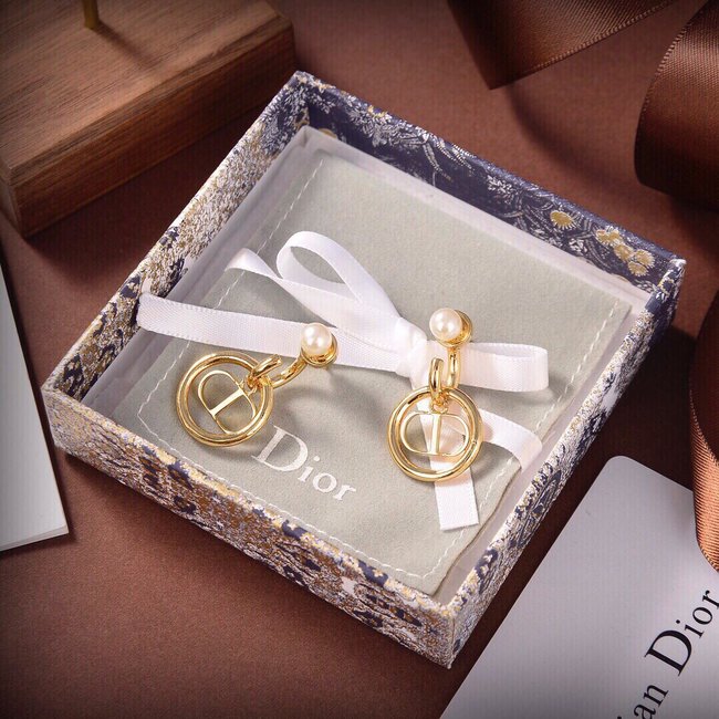 Dior Earring CSJ11553233