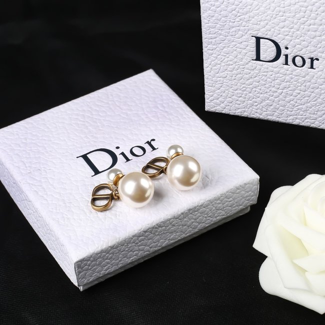 Dior Earring CSJ80001241