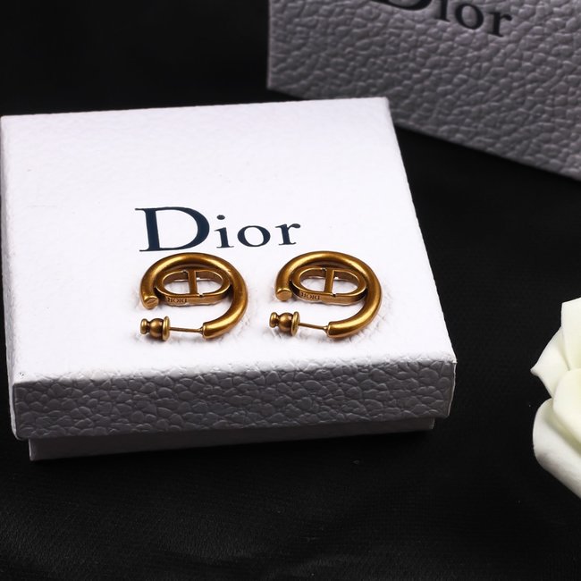 Dior Earring CSJ10588484