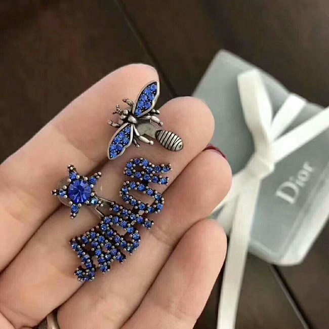 Dior Earring CSJ00001546