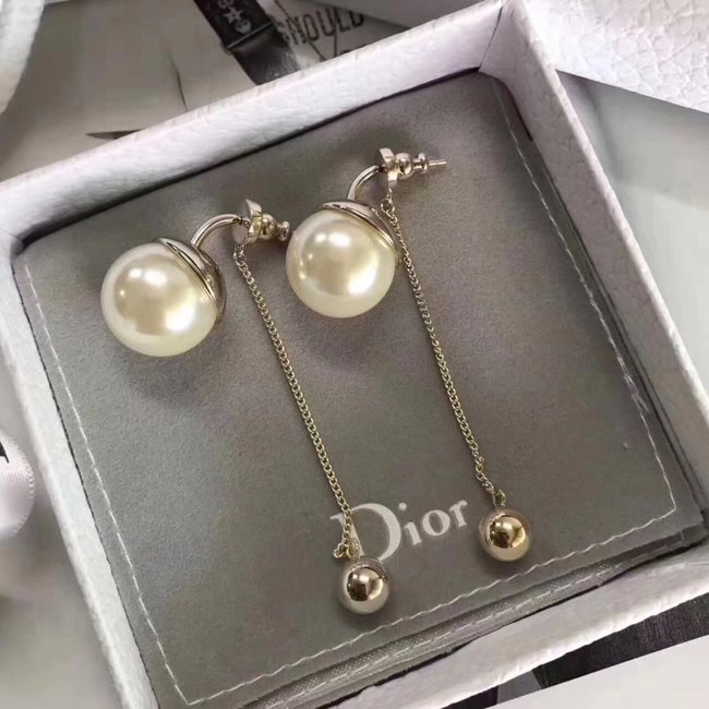 Dior Earring CSJ44515342