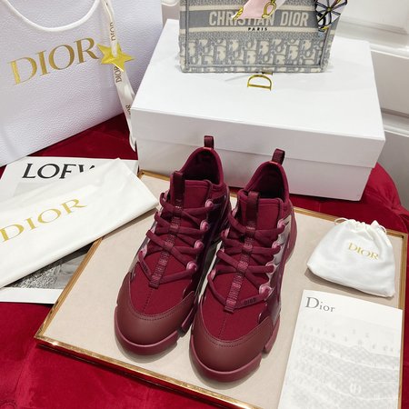 Dior D-Connect sneakers