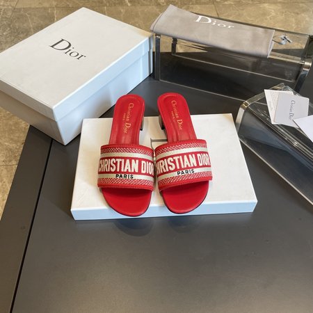 Dior slippers