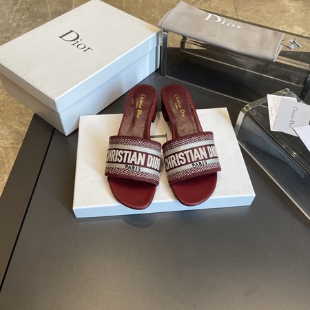 Dior slippers