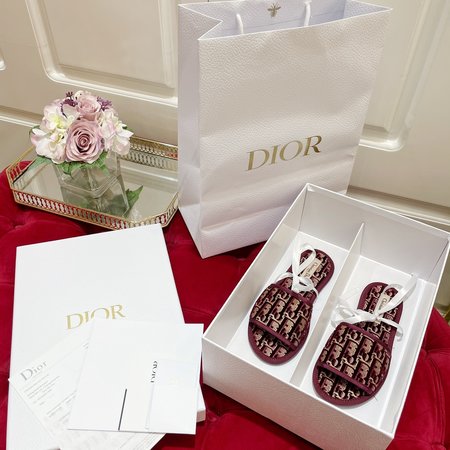 Dior Embroidered flocking slippers