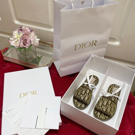 Dior Embroidered flocking slippers