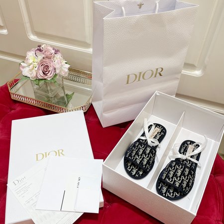 Dior Embroidered flocking slippers