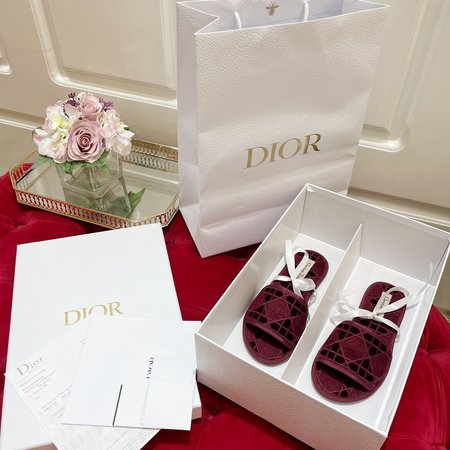 Dior Embroidered flocking slippers