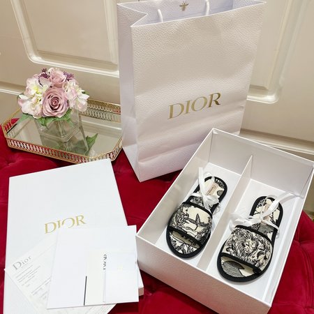 Dior Embroidered flocking slippers