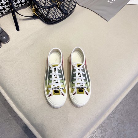 Dior Embroidered laces casual shoes