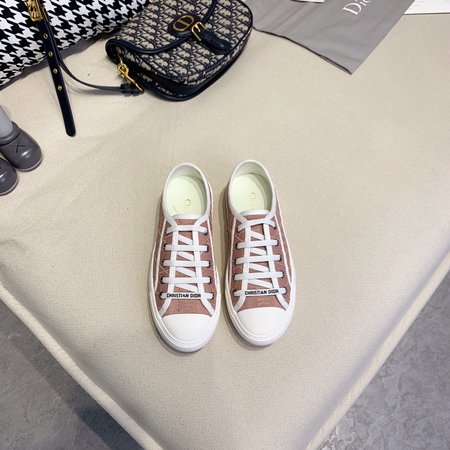 Dior Embroidered laces casual shoes