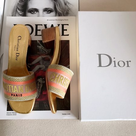 Dior CD embroidered letter slippers thick heel series