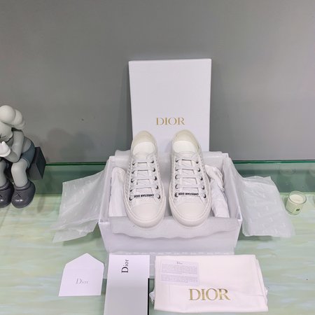 Dior Embroidered laces casual shoes