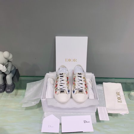 Dior Embroidered laces casual shoes