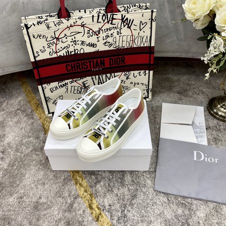 Dior Casual shoes canvas shoes embroidered wisps