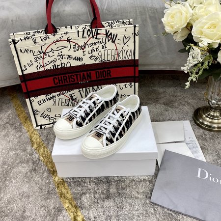 Dior Casual shoes canvas shoes embroidered wisps