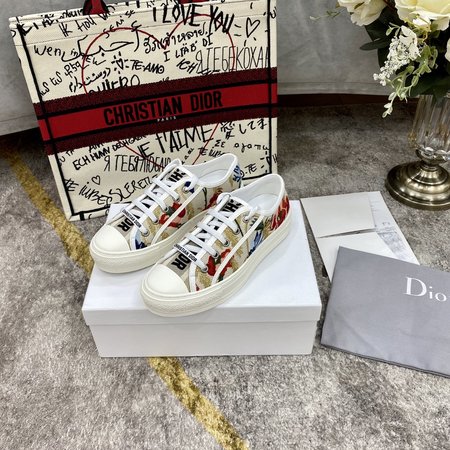 Dior Casual shoes canvas shoes embroidered wisps