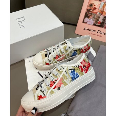 Dior Embroidered canvas shoes series