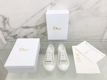 Dior embroidered cloth shoes