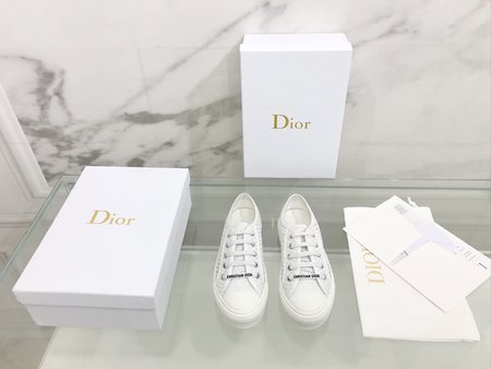 Dior embroidered cloth shoes