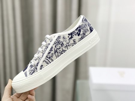 Dior embroidered cloth shoes