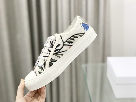 Dior embroidered cloth shoes