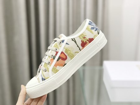 Dior embroidered cloth shoes