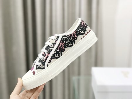 Dior embroidered cloth shoes