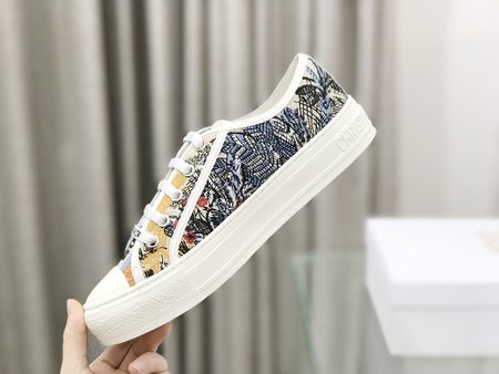 Dior embroidered cloth shoes