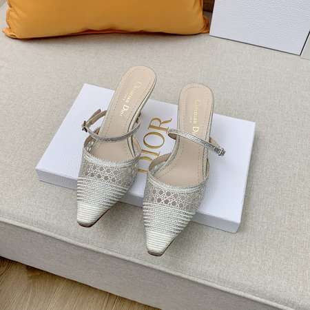 Dior crystal embroidered Kitten Heels slides