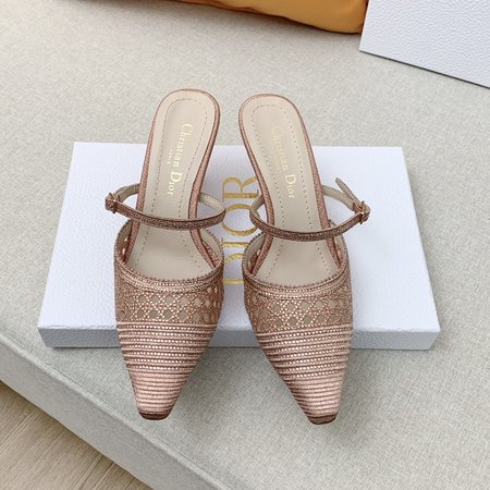 Dior crystal embroidered Kitten Heels slides