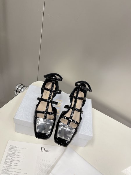 Dior Mary Jane women s square toe chunky heel shoes