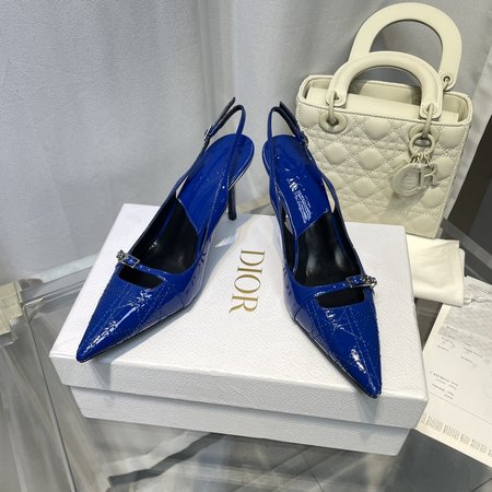 Dior D Medieval Embroidered High Heels