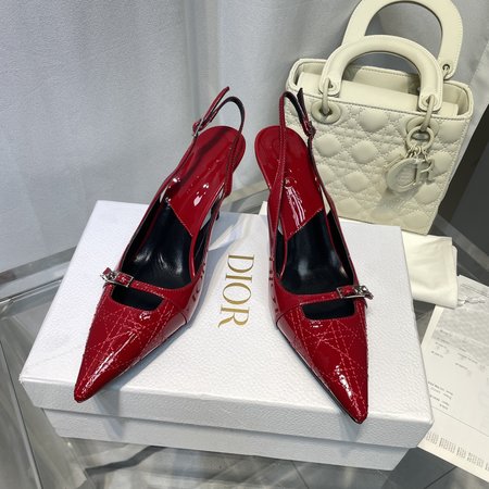 Dior D Medieval Embroidered High Heels