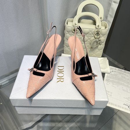 Dior D Medieval Embroidered High Heels