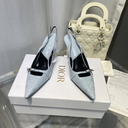 Dior D Medieval Embroidered High Heels