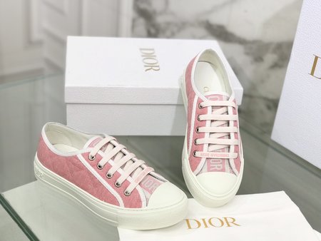 Dior embroidered cloth shoes