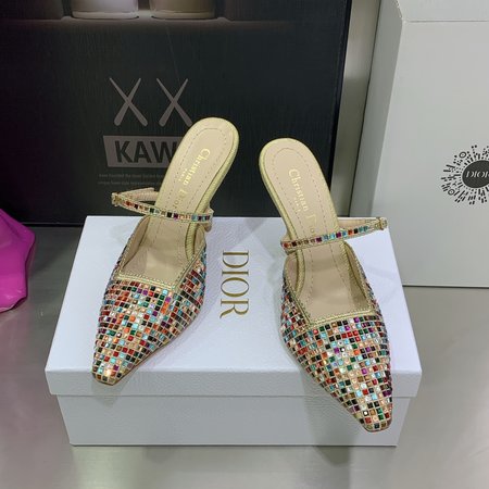 Dior Glass shoes Muleat Kitten Heels