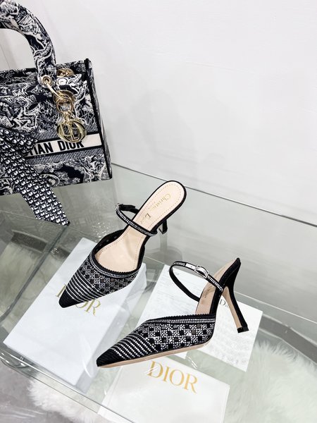 Dior Crystal SlippersCaPture Kitten Heels