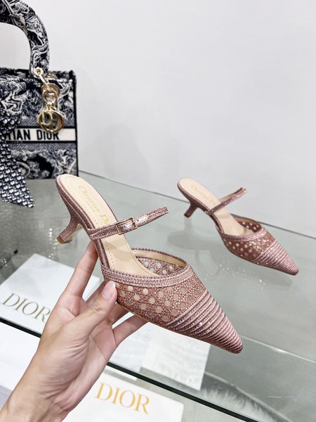 Dior Crystal SlippersCaPture Kitten Heels