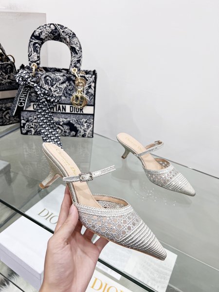 Dior Crystal SlippersCaPture Kitten Heels