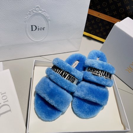 Dior slippers