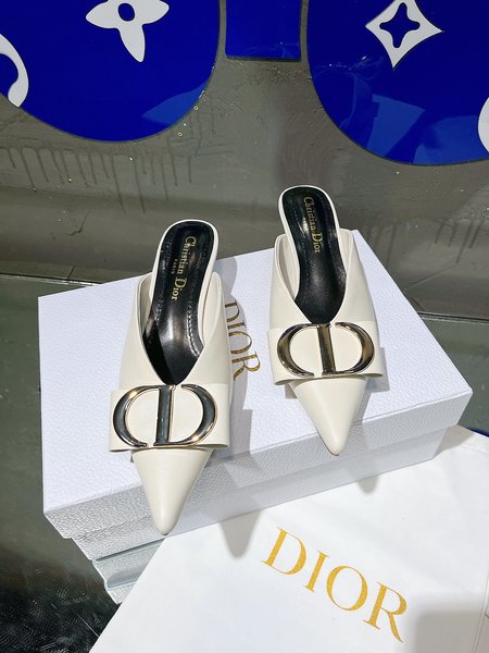 Dior Muller Half Slippers