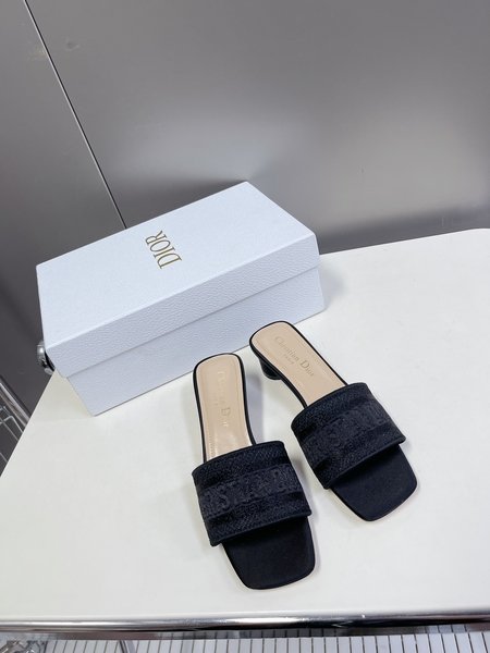 Dior classic block heel slippers