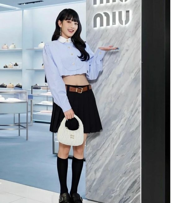 MiuMiu MiuWander Classic Matelasse Handbag 12357