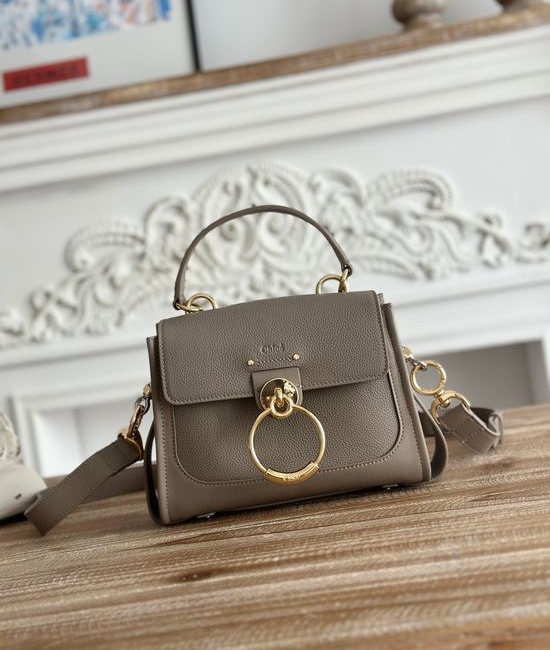 Chloe Tess Day Small Grey Handbag S1143