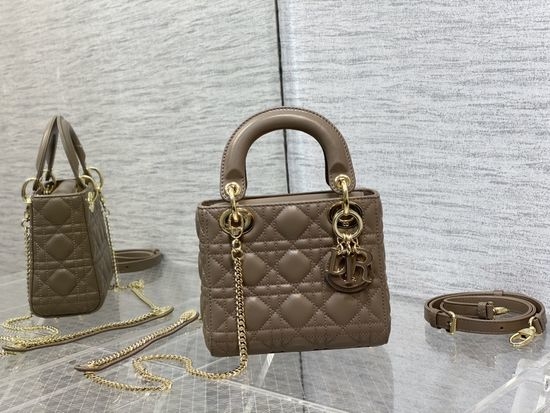 Christian Dior CD Lady Handbag 6603